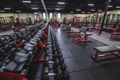 gympicsample